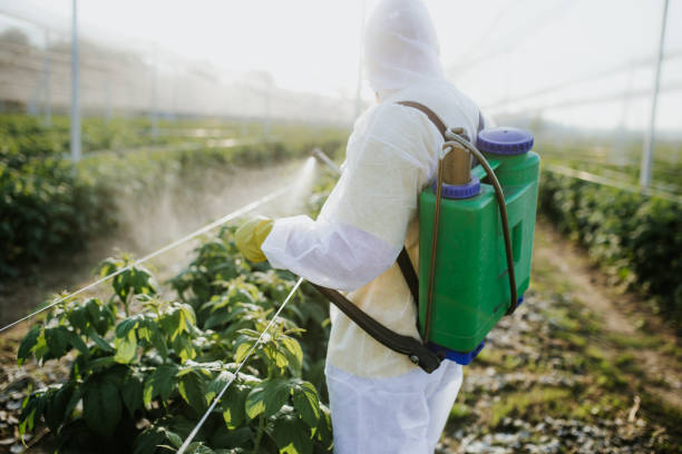 Insect Control in Albany, OR